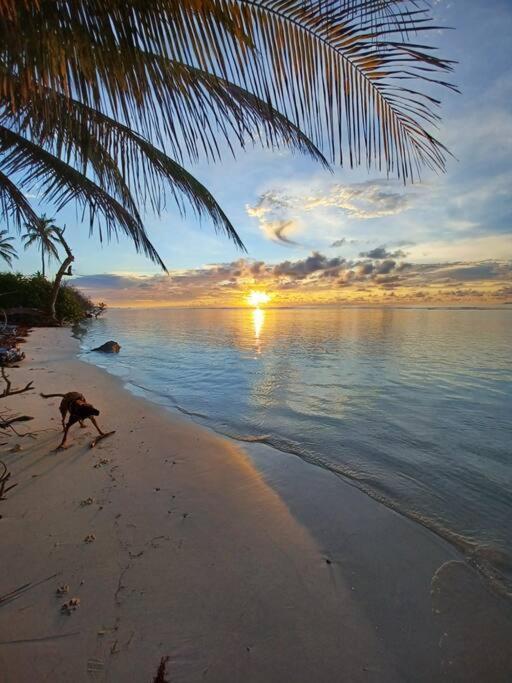 Bungalow Atypique Ti Bambou A 500M De La Plage Villa Sainte-Anne  Esterno foto